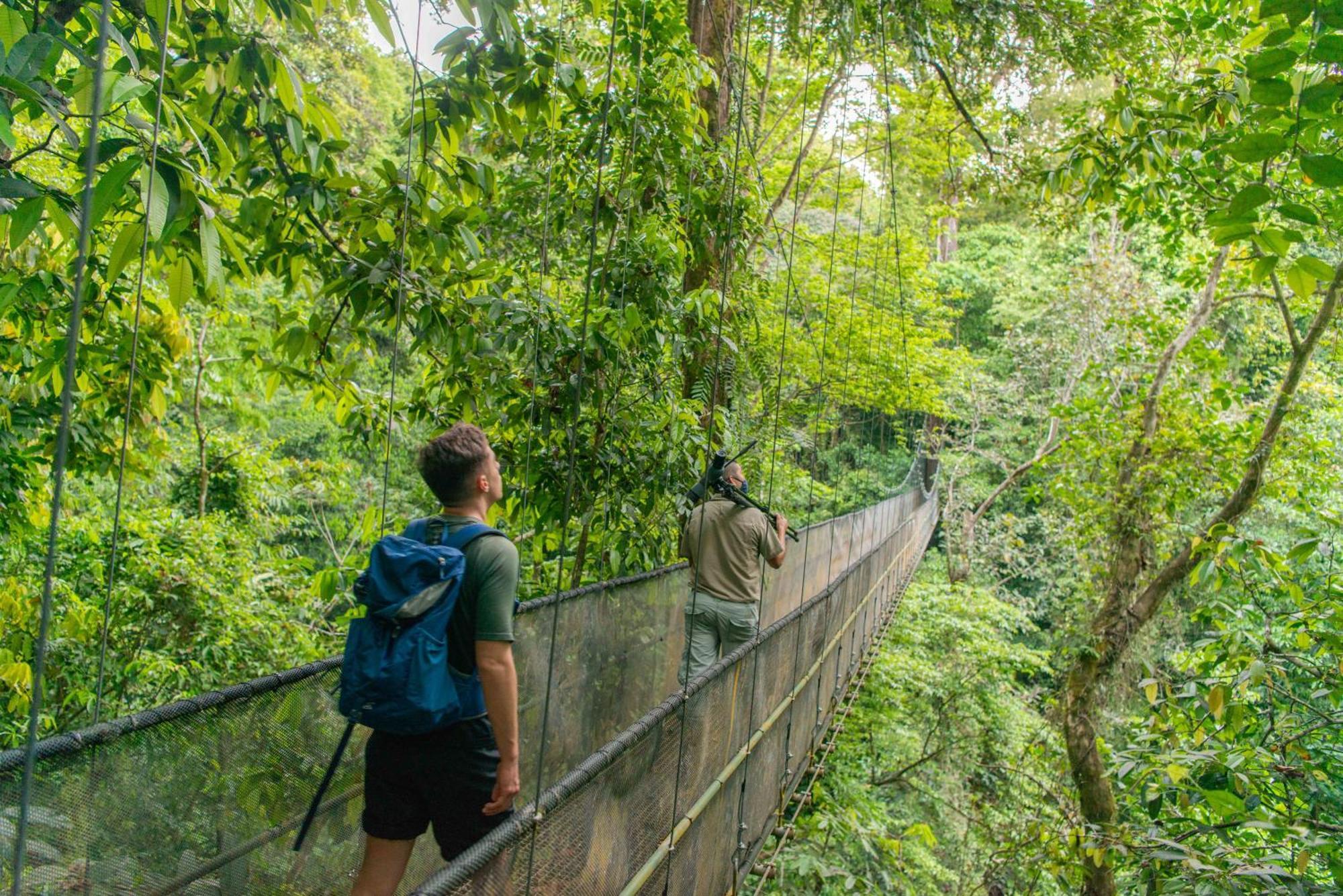 El Remanso Rainforest Lodge Puerto Jiménez Buitenkant foto