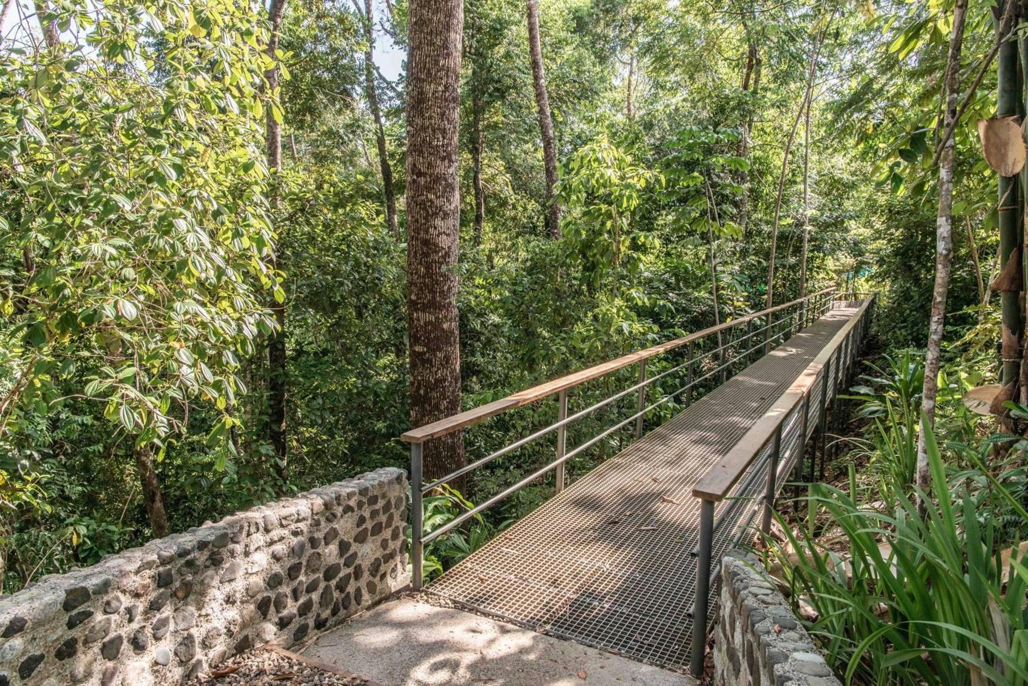 El Remanso Rainforest Lodge Puerto Jiménez Buitenkant foto