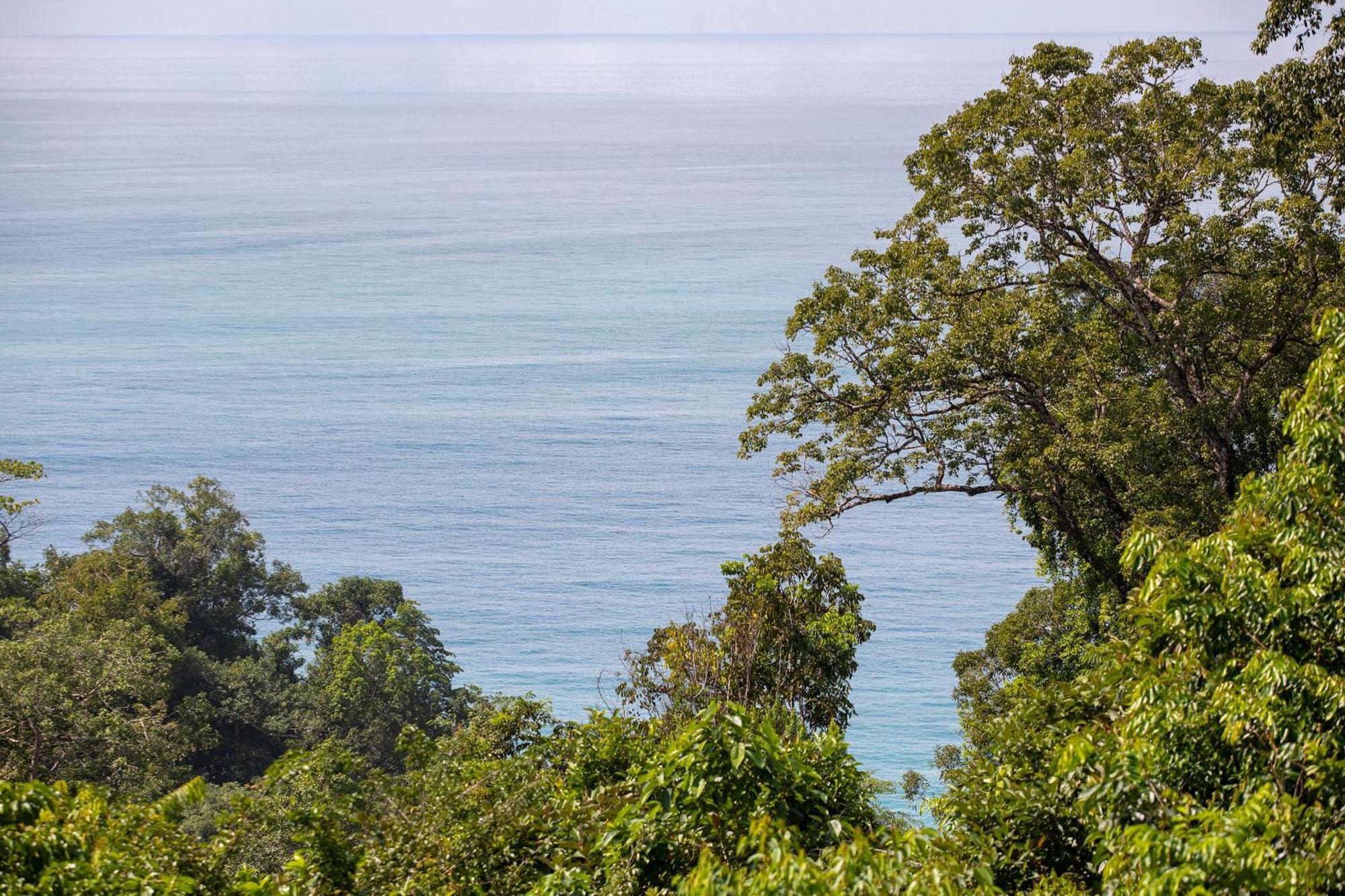 El Remanso Rainforest Lodge Puerto Jiménez Buitenkant foto